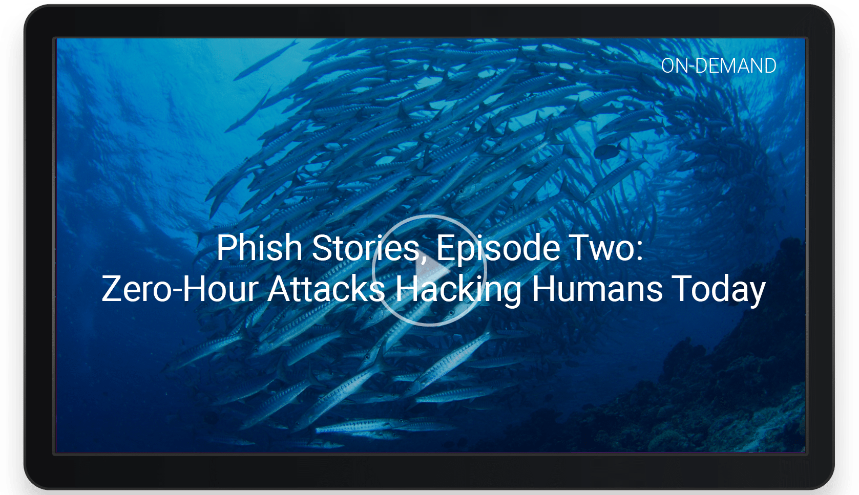 Phish Stories Episode Two